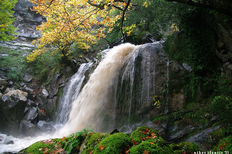 ΔΗΜΟΣ ΔΩΡΙΔΟΣ