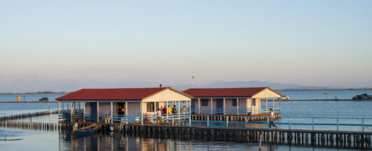 Δήμος Ι.Π. Μεσολογγίου